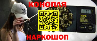 шишки Партизанск