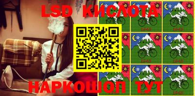 шишки Партизанск