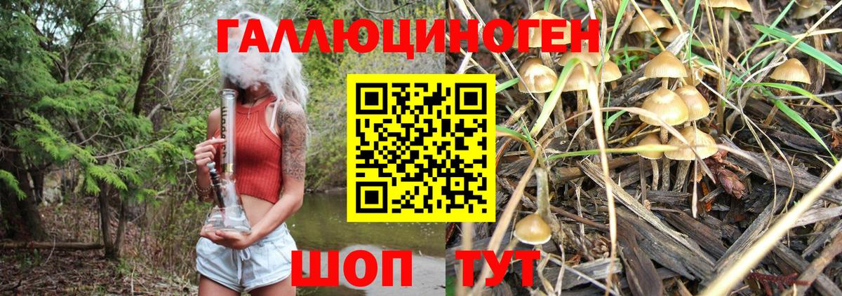 Псилоцибиновые грибы GOLDEN TEACHER  Вход с VPN  Сухой Лог 
