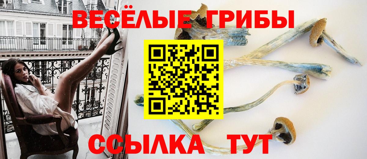 Галлюциногенные грибы мухоморы Сухой Лог